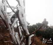 매서운 겨울로 가는 한라산