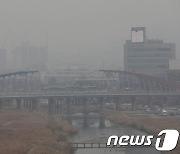 충북 올해 초미세먼지 농도 '뚝'…2019년 대비 42% 감소