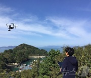 산림청, 예찰 확대·수종전환 등 소나무재선충병 집중 방제 추진