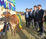 국립축산과학원, 임실군에 저지종 젖소 지원…"치즈 고급화 추진"