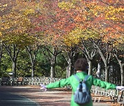 '만추' 만끽