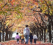 손잡고 가을 산책