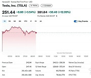 트럼프 당선, 테슬라 개장전 거래에서 12% 폭등
