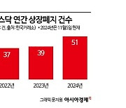 삼일회계법인, IR대행사 인수 추진…새 먹거리로 떠오른 기업 '심폐소생'