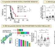 KAIST "난치성 뇌종양 치료 새 가능성 열어"