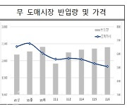 배추·무 등 김장재료 출하량 증가…“김치업체 가동 정상화”