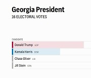 경합주 조지아주 개표 20% 기준 트럼프 19%p 리드