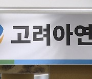 "경위·결정 과정 등 미흡"…금감원, 고려아연에 유증 정정신고 요구