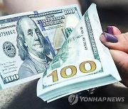 승리 굳히는 트럼프…환율 1400원대 넘어서나 [2024 미국 대선]