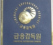 금감원, 신지급여력제도 내부모형 승인신청 매뉴얼 마련