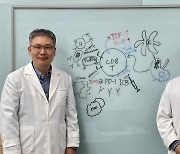 “면역항암제 효능↑” KAIST·화학硏, ‘난치성 뇌종양’ 치료법 제시