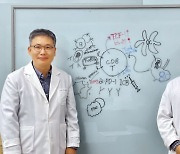 ‘KAIST·화학硏, 면역항암 효능 강화...‘난치성 뇌종양’ 새로운 치료법 제시