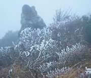 '한라산, 올해 첫 상고대'