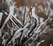 '한라산, 올해 첫 상고대'