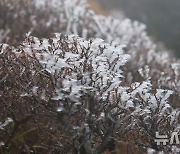 '한라산, 올해 첫 상고대'