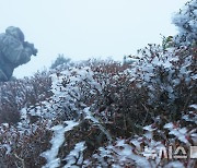 올 가을 최저기온, 상고대 핀 한라산