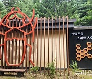 국립수목원, 천연기념물 '장수하늘소' 복원…"협력 연구"