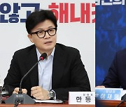 "한미동맹 강화" "한반도 평화"…여야, 미 대선 결과 주시