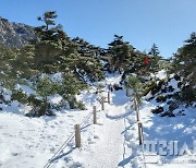 겨울철 한라산국랍공원 탐방... '해장국' 하산 후엔 '온천'