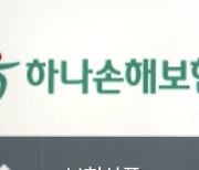 하나손보, 카카오페이로 원데이車보험 가입 12만5천건...106%↑