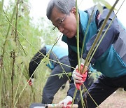 마사회, 탄소저감 식물‘케나프’수확하며 녹색성장 다짐 [경마]