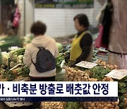 배춧값 안정에 마트·시장 '활기'..."김장 걱정 덜었어요"