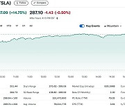 미국 대선 최대 승자는 머스크, 테슬라 15% 폭등(상보)