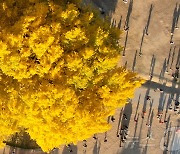 전국 '맑음'…제주·경남 5㎜ 내외 비 [퇴근길날씨]