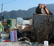 충북 음성 오리농장서 H5형 AI 항원 확인… “고병원성 확인 중”