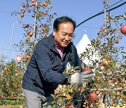 오산시·장수군, 자매결연 체결 기념 ‘오산시민 사과따기 체험’ 진행