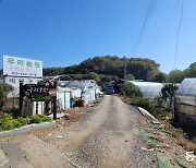 “보상 더 받을수 있나” 서초 그린벨트 해제에 문의 빗발