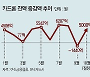 [단독]카드론 한달새 5000억 늘자… 금감원 “목표치 내라” 대출 조인다