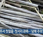 전북 전주서 첫얼음·첫서리 관측…‘냉해 주의’