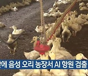 2년 만에 음성 오리 농장서 AI 항원 검출