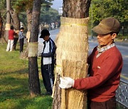 겨울의 시작 입동…아침 영하 3도까지 뚝 [날씨]