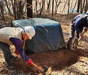 '고사율 100%' 소나무재선충병 확산에 사천시, 방제작업 돌입