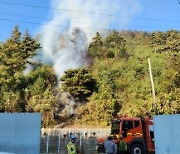 충남 예산군서 산불, 인명피해는 없었다…70분만에 진화