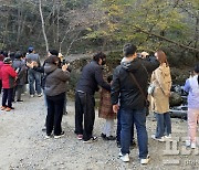 순천시티투어 가을특별코스 운행 중…단풍 '선암사'·일몰 '와온해변'