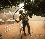 California Winds Wildfires