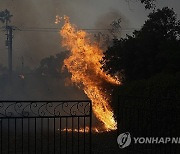 California Winds Wildfires