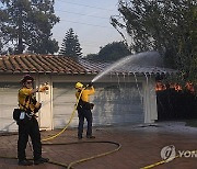 California Winds Wildfires