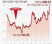 [그래픽] 테슬라 주가 추이