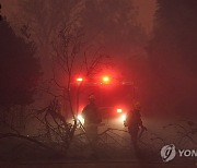 California Winds Wildfires