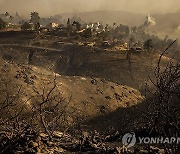 California Winds Wildfires