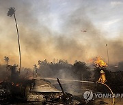 California Winds Wildfires