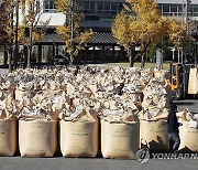 평택시 공공비축미 수매