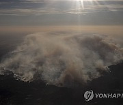 California Wild Wildfires