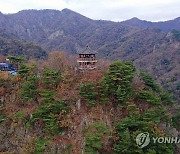 '따뜻한 10월' 전북 평균기온 역대 2위…내장산 단풍 절정 '아직'