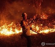 美 LA 일대에 '악마의 바람'…대형 산불로 1만여명에 대피령