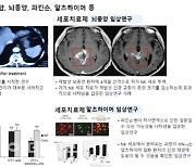 ‘세포치료제 무상 시술’ 前 충북경제자유구역청장 재판行